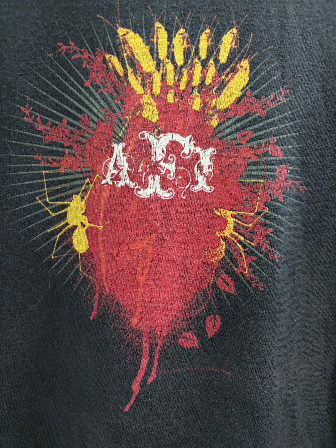 00S AFI ( A Fire Inside)
