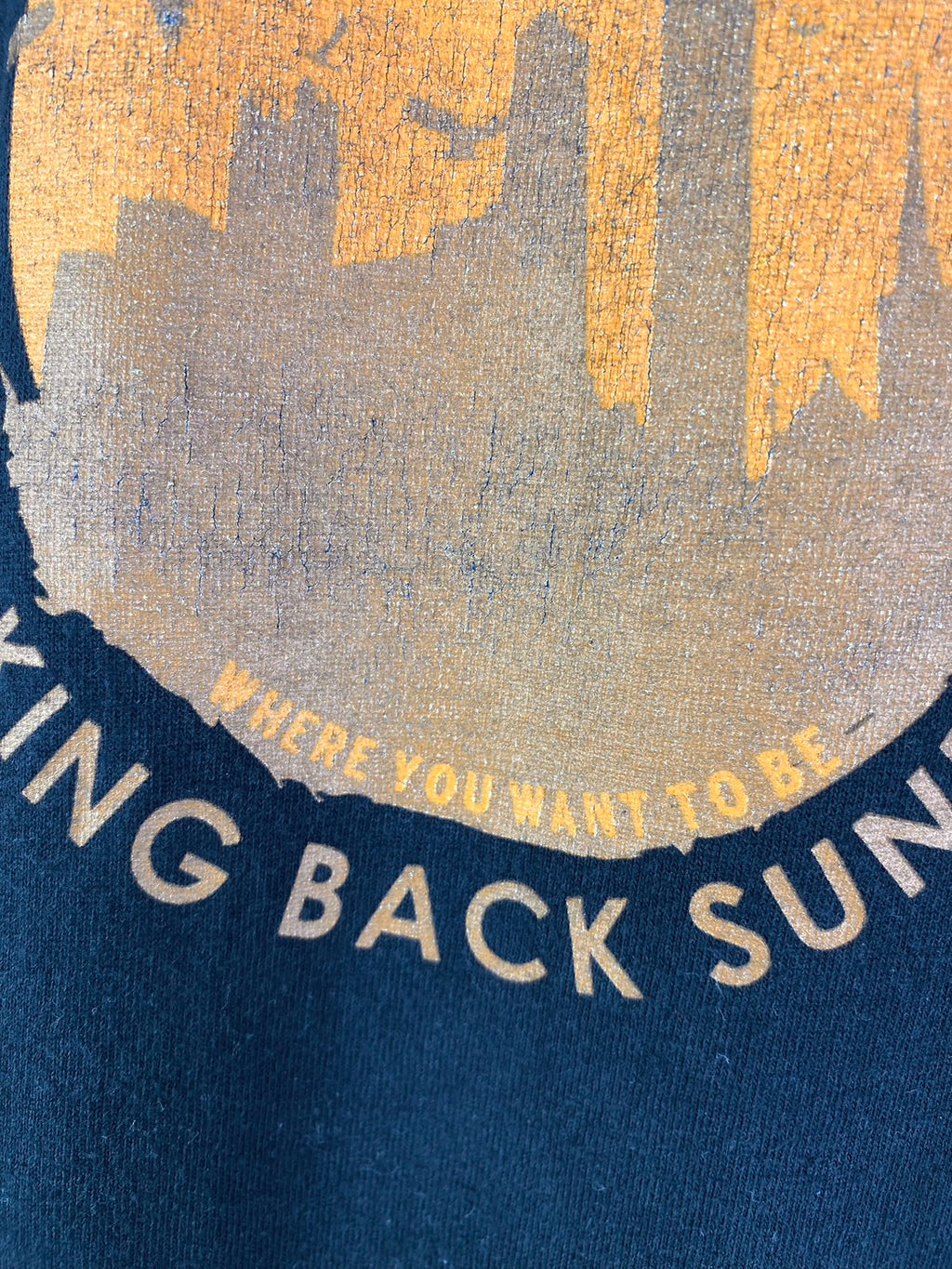 Vintage Y2K Taking Back Sunday Band Tee