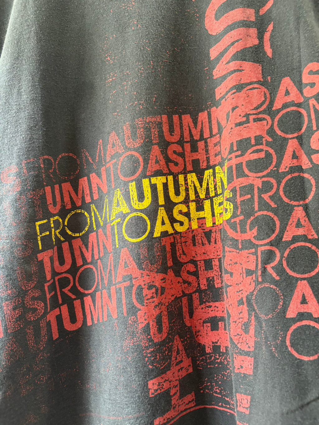 Vintage Y2K From Autumn to Ashes Band Tee