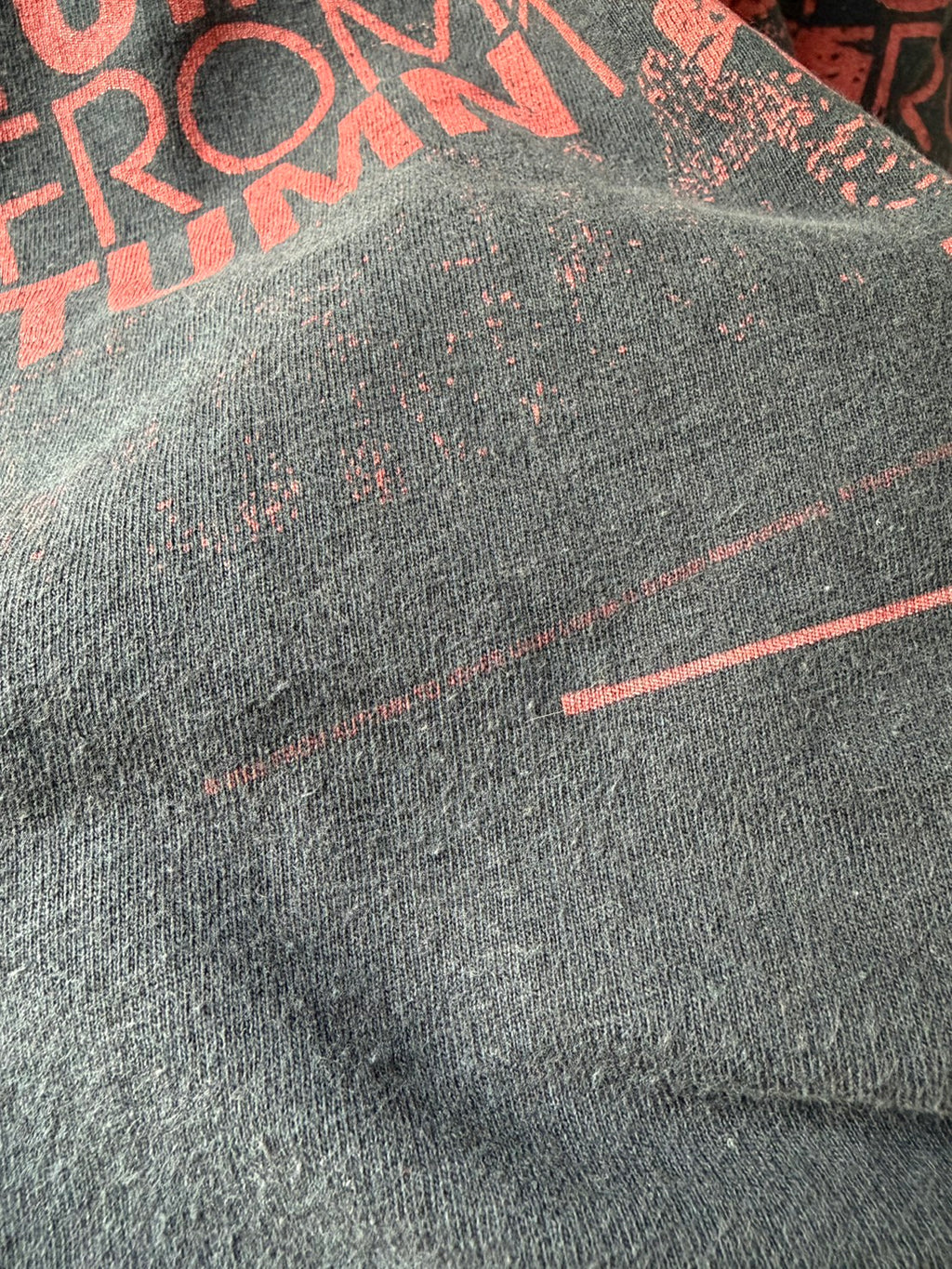 Vintage Y2K From Autumn to Ashes Band Tee