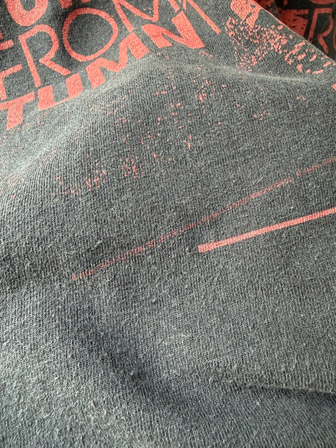 Vintage Y2K From Autumn to Ashes Band Tee