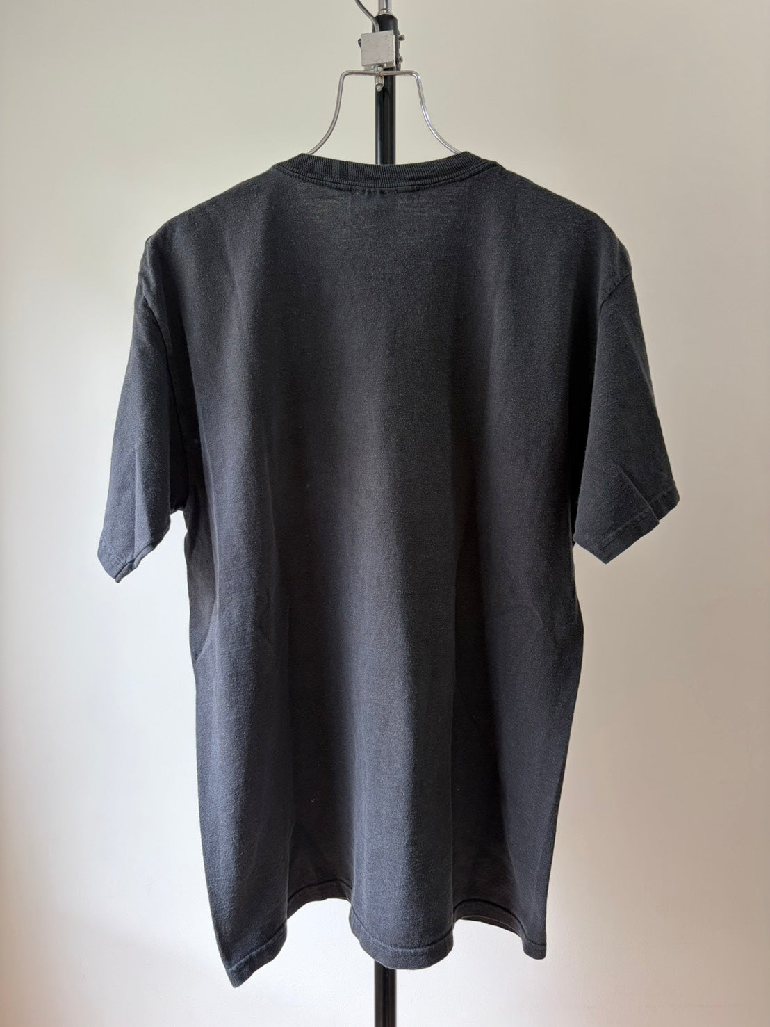 Vintage Y2K From Autumn to Ashes Band Tee