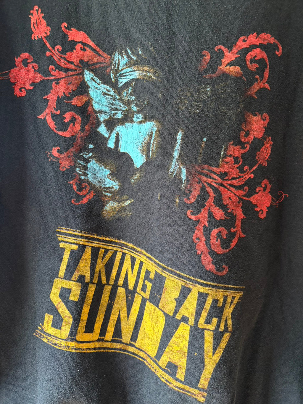 Vintage Y2K Taking Back Sunday Hoodies Zip