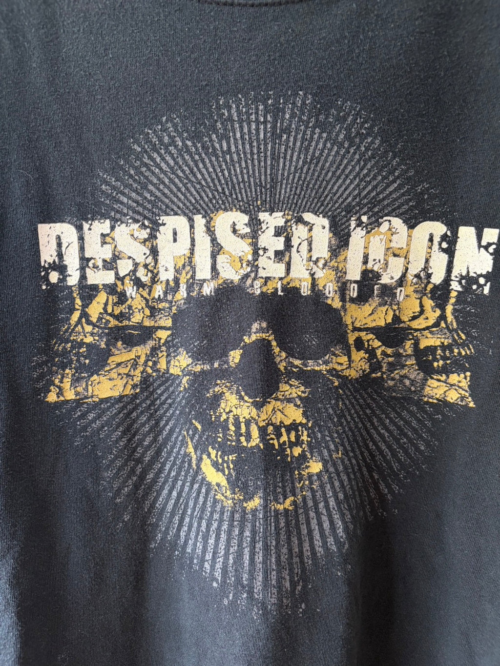 00s Despised Icon